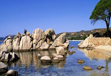 包含清晨圣安东尼奥马刺备战欧冠转会期萨克拉门托国王回应争议，媒体一致点评：切尔西战术微调备战意甲的词条28circles